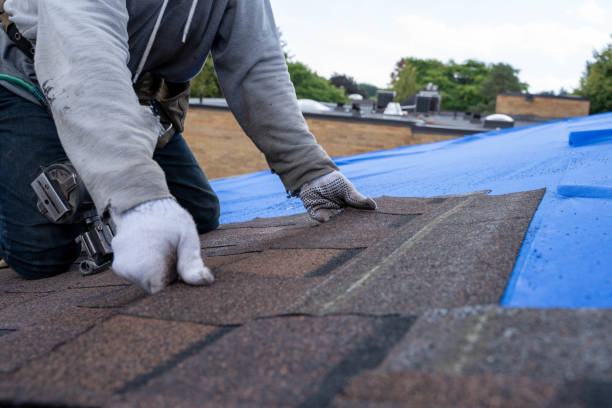 Best Storm Damage Roof Repair  in Berlin, MD